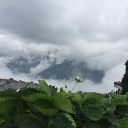 ダージリンBenusアパートメント エクステリア 写真
